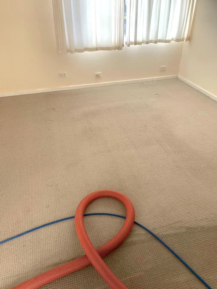 After - bedroom carpet cleaned