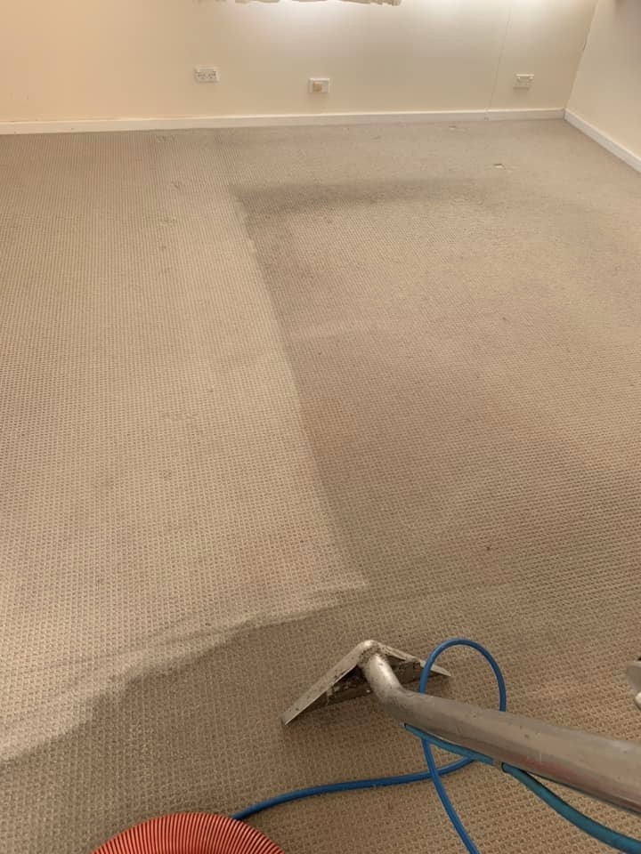 Before - bedroom carpet dirty