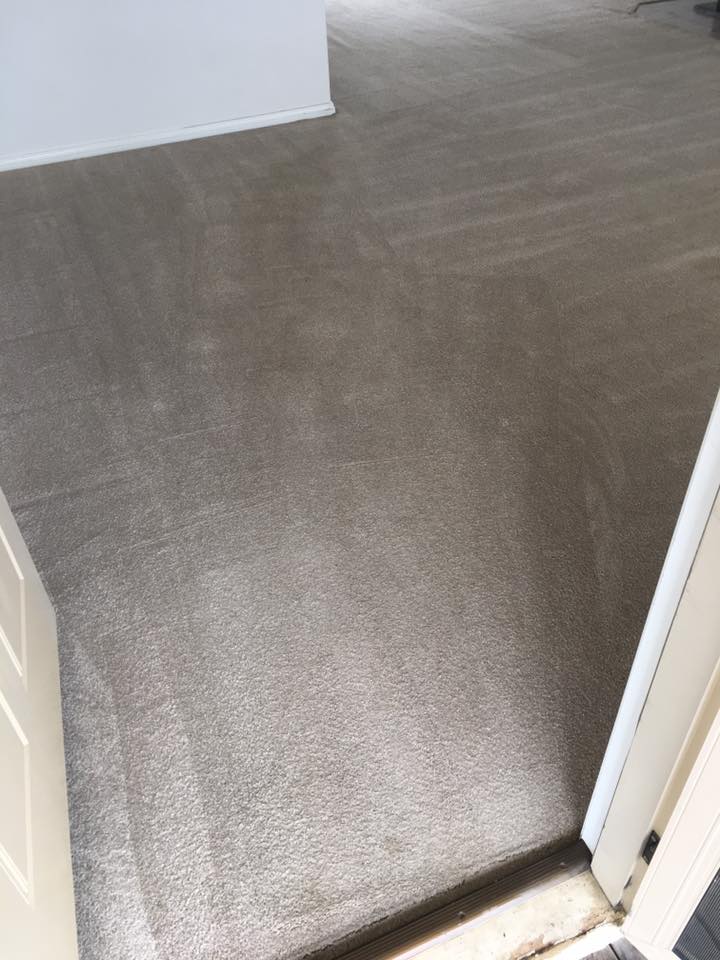 After - bedroom carpet cleaned