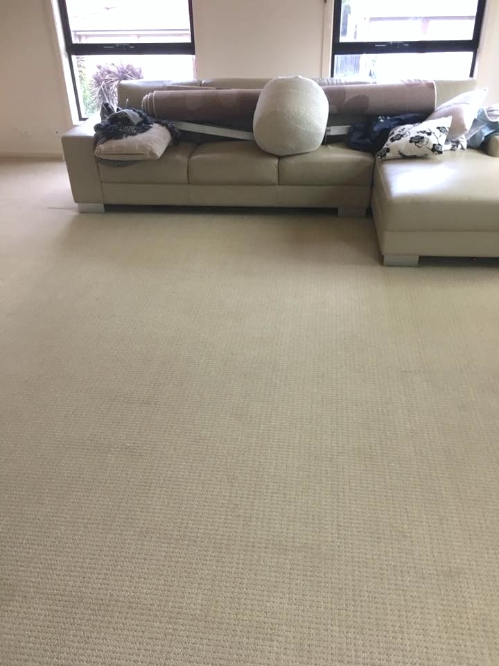 After - living room carpet cleaned