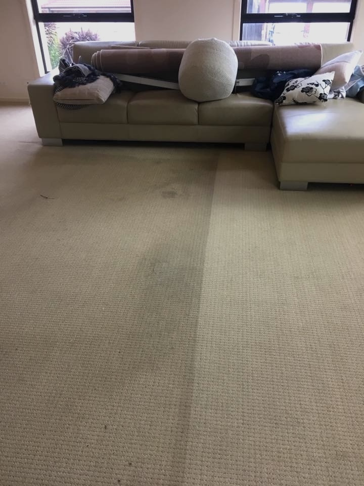 Before - living room carpet stained