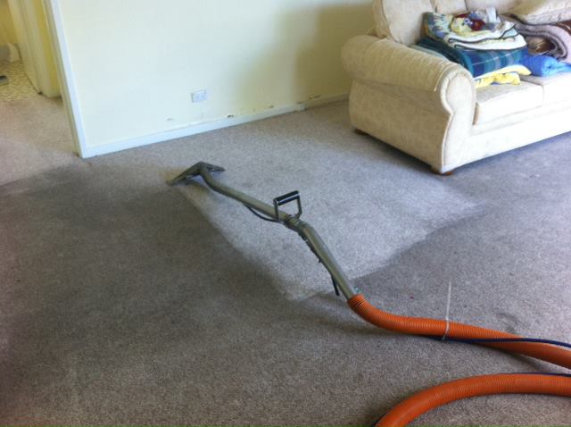 Professional carpet steam cleaning in a Canberra lounge room