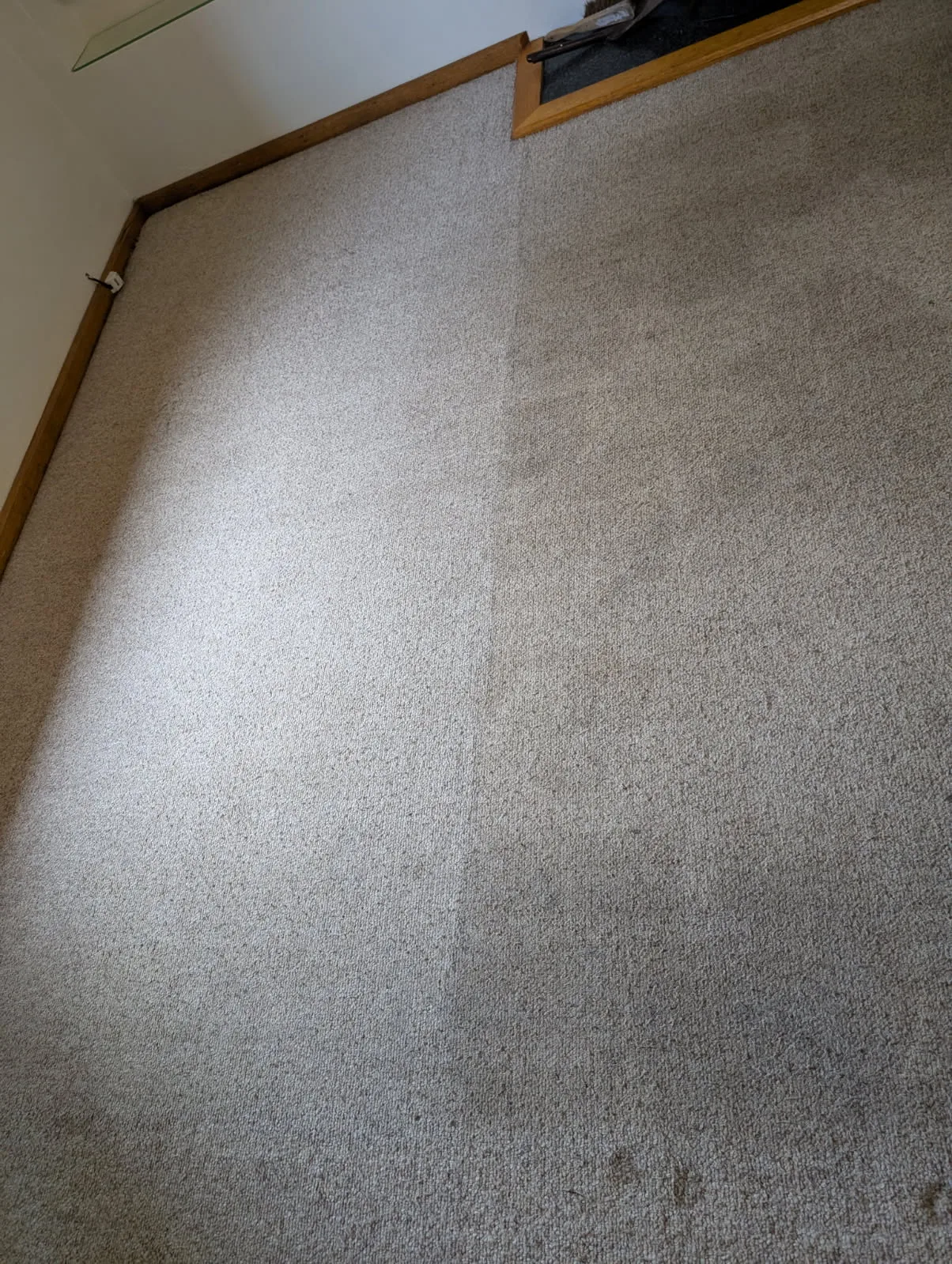 Carpet cleaned by Verydirtycarpet