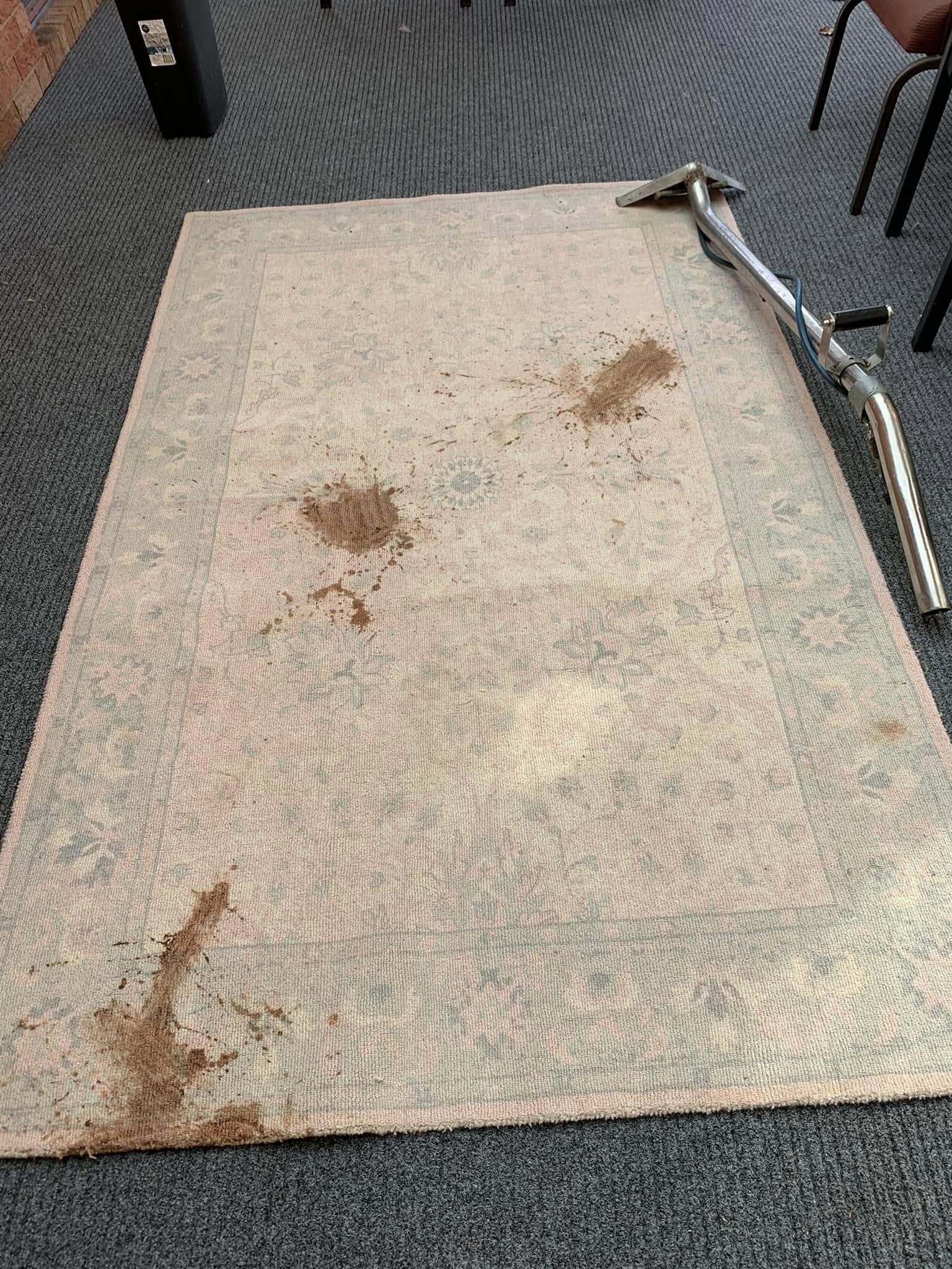 Before - rug with large stains