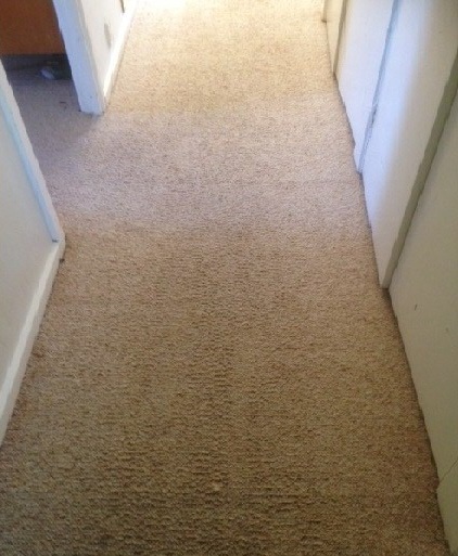 After - hallway carpet stain removed