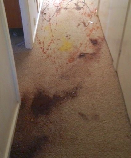 Before - hallway carpet with sauce stain