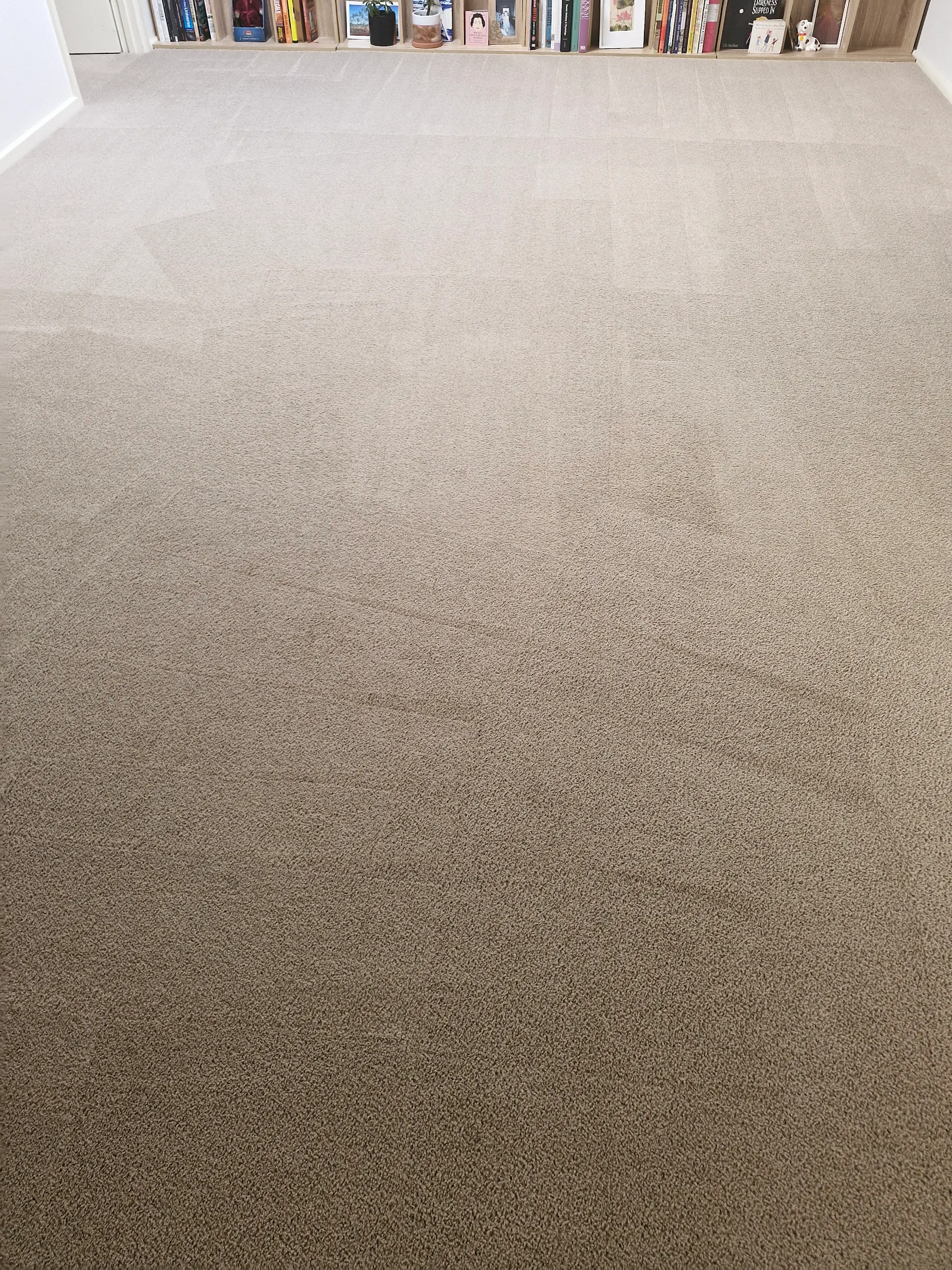 Carpet after cleaning