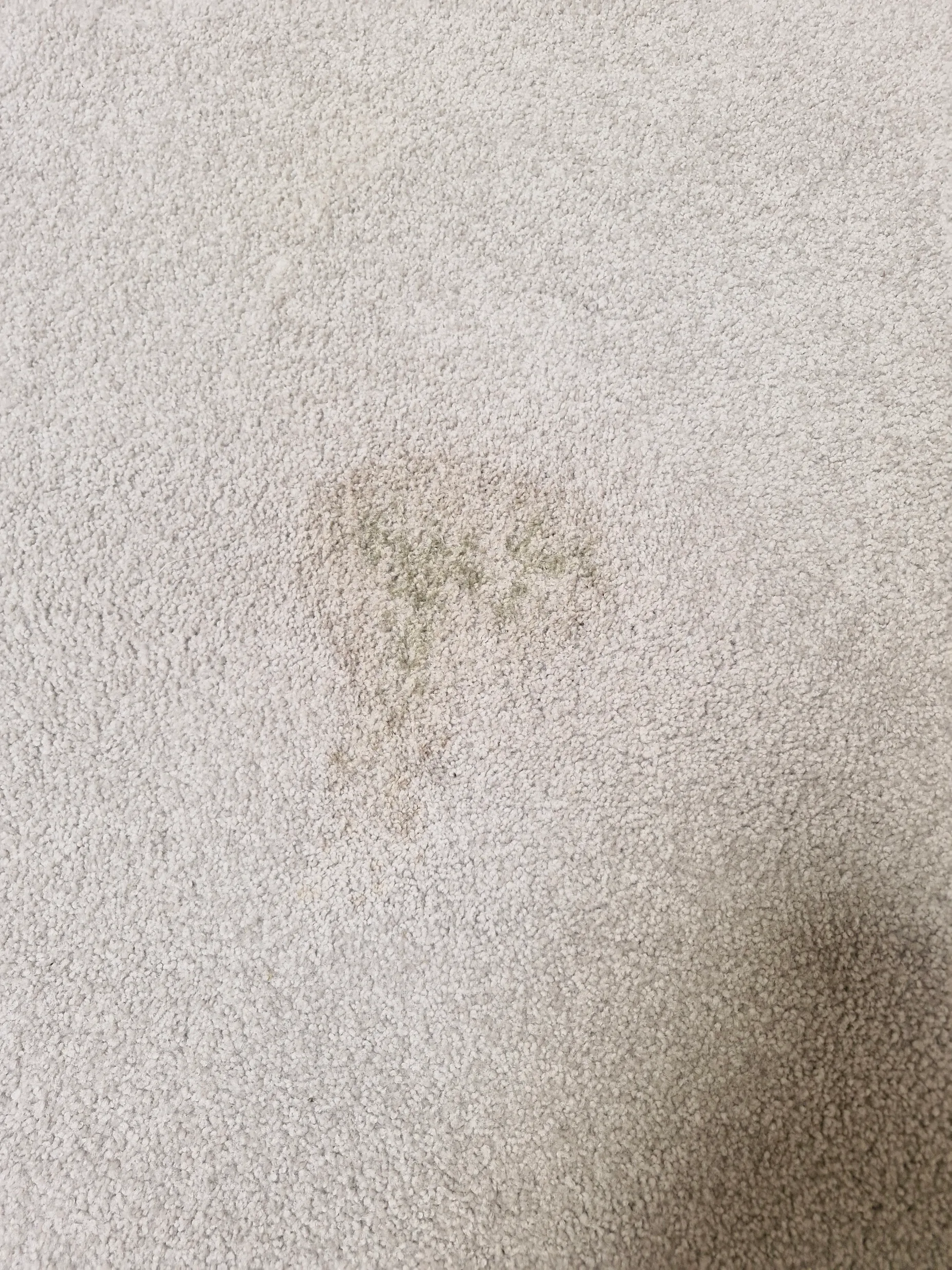 Carpet stain before cleaning